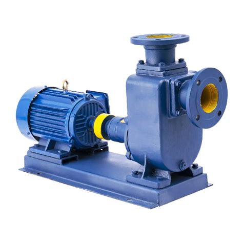 good end-suction centrifugal sea water pump|submersible end suction pumps.